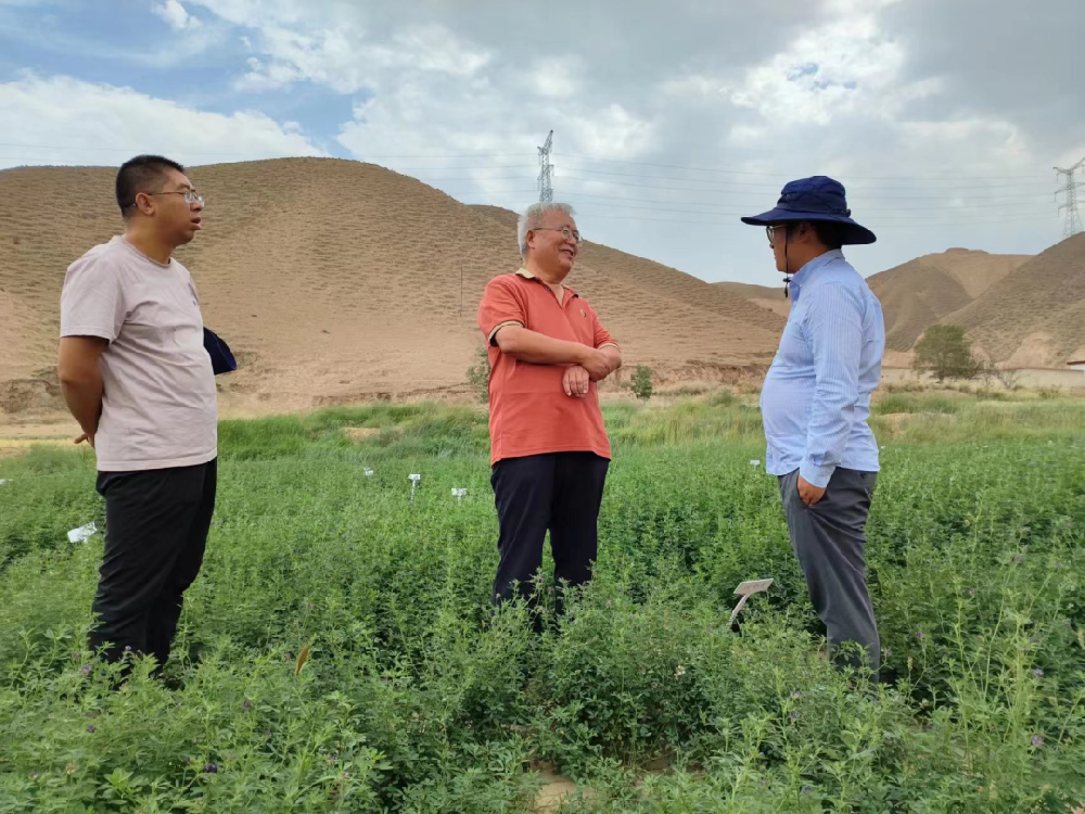 三杰牧草（杨凌）研究院院长陈海涛博士和金昌三杰牧草有限公司副总经理史小强莅临我公司兰州饲草牧草制种试验站考察调研