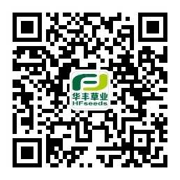 郑州华丰草业科技有限公司